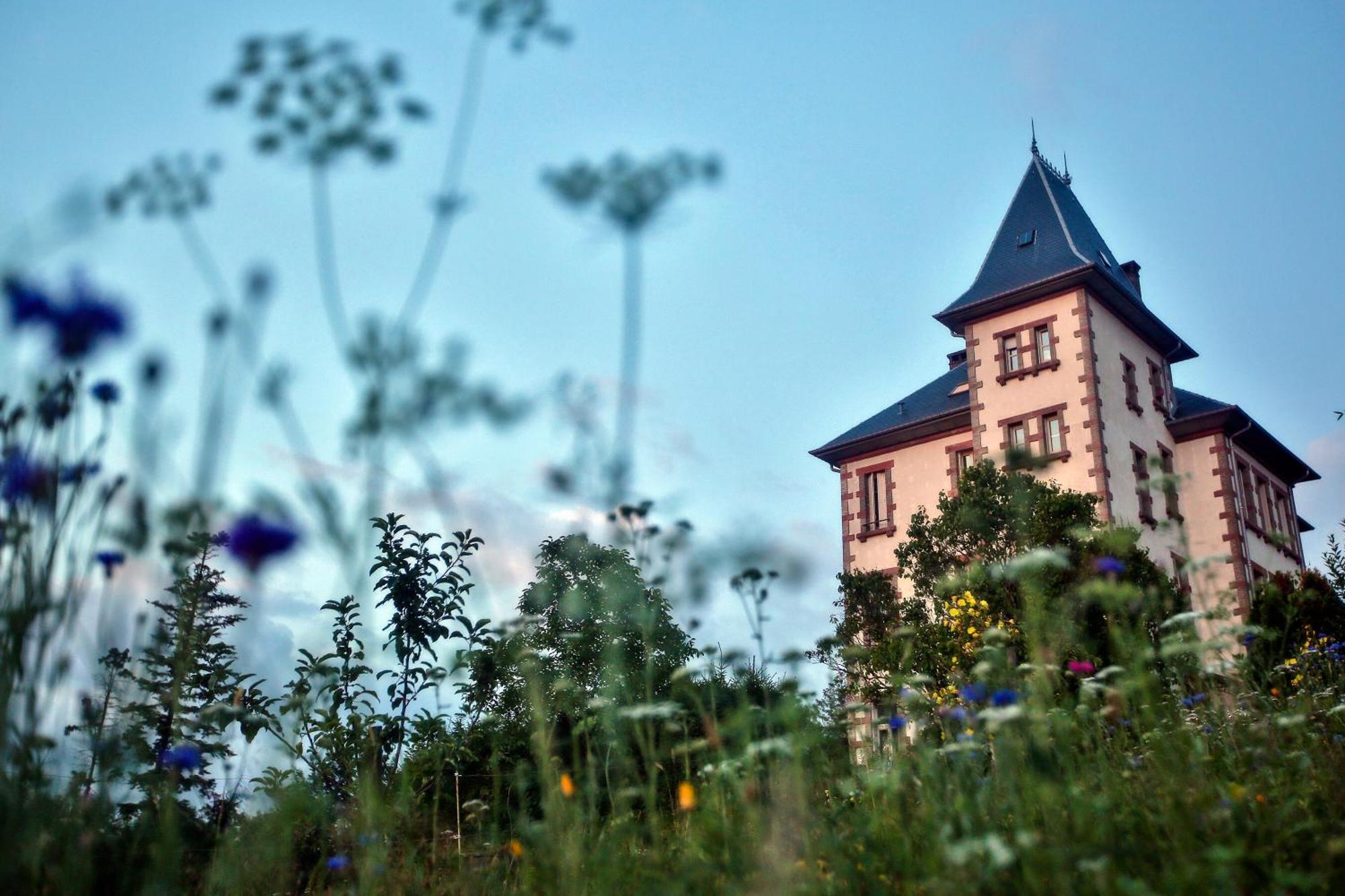 Chateau Robert Raon-l'Etape Exterior photo